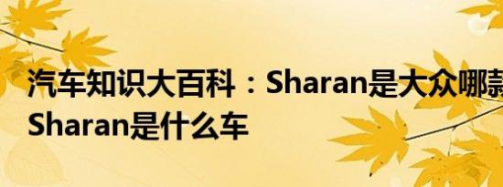 汽车知识大百科：Sharan是大众哪款车 大众Sharan是什么车