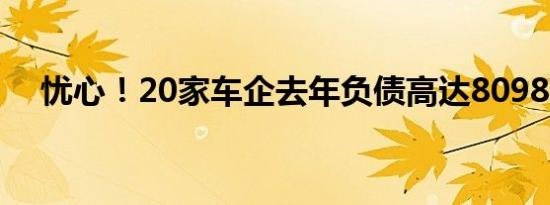 忧心！20家车企去年负债高达8098亿元