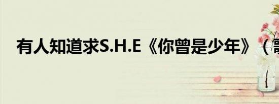 有人知道求S.H.E《你曾是少年》（歌词）