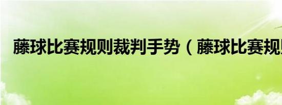 藤球比赛规则裁判手势（藤球比赛规则??）