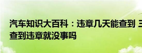 汽车知识大百科：违章几天能查到 三天没有查到违章就没事吗