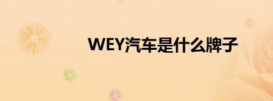 WEY汽车是什么牌子