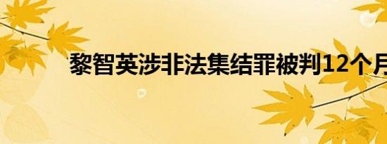 黎智英涉非法集结罪被判12个月