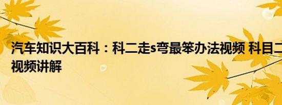 汽车知识大百科：科二走s弯最笨办法视频 科目二s弯道技巧视频讲解