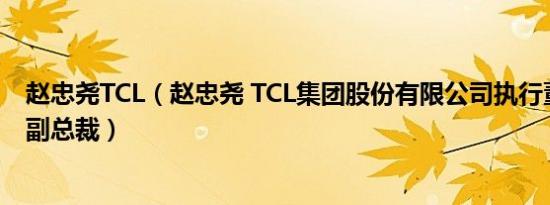 赵忠尧TCL（赵忠尧 TCL集团股份有限公司执行董事及高级副总裁）