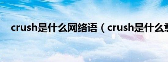 crush是什么网络语（crush是什么意思）