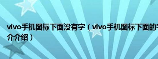 vivo手机图标下面没有字（vivo手机图标下面的字没有了简介介绍）