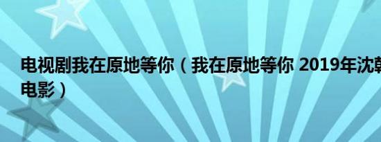 电视剧我在原地等你（我在原地等你 2019年沈朝方执导的电影）