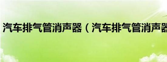 汽车排气管消声器（汽车排气管消声器在哪）