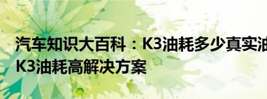 汽车知识大百科：K3油耗多少真实油耗 起亚K3油耗高解决方案