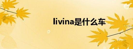 livina是什么车