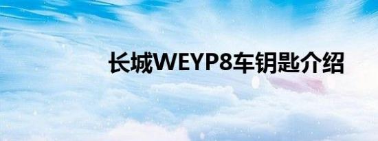 长城WEYP8车钥匙介绍