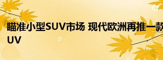 瞄准小型SUV市场 现代欧洲再推一款入门级SUV