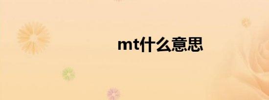 mt什么意思