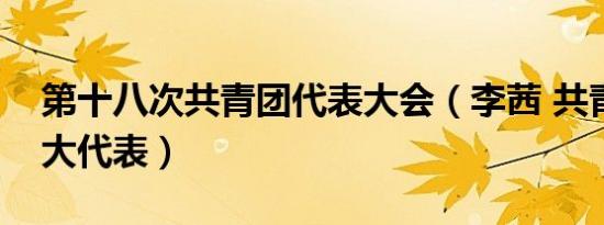 第十八次共青团代表大会（李茜 共青团十八大代表）