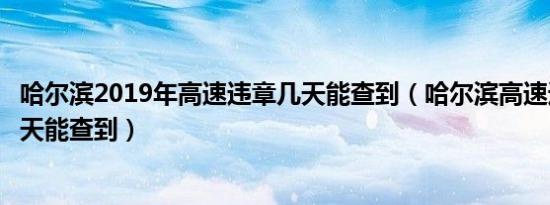 哈尔滨2019年高速违章几天能查到（哈尔滨高速违章查询几天能查到）