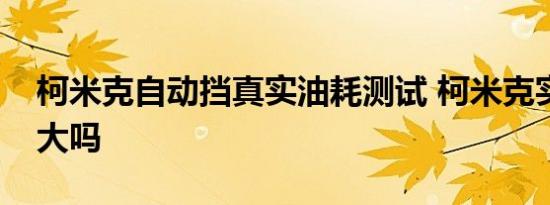 柯米克自动挡真实油耗测试 柯米克实际油耗大吗 