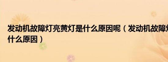 发动机故障灯亮黄灯是什么原因呢（发动机故障灯亮黄灯是什么原因）