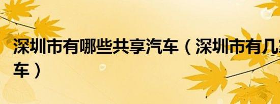 深圳市有哪些共享汽车（深圳市有几家共享汽车）