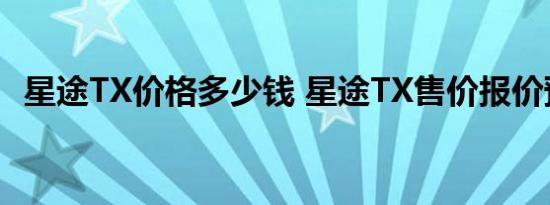 星途TX价格多少钱 星途TX售价报价预计多少 