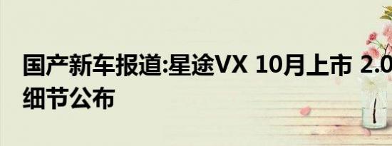 国产新车报道:星途VX 10月上市 2.0T发动机细节公布