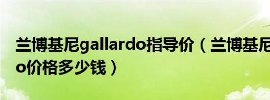 兰博基尼gallardo指导价（兰博基尼gallardo价格多少钱）