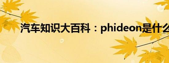 汽车知识大百科：phideon是什么车