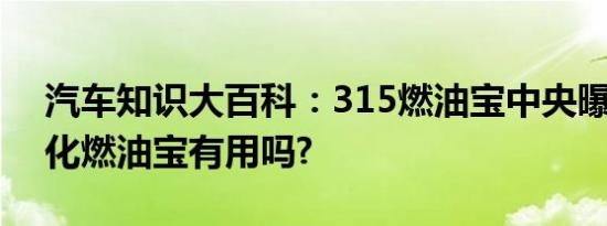 汽车知识大百科：315燃油宝中央曝光 中石化燃油宝有用吗?