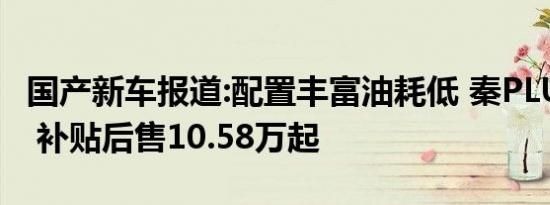 国产新车报道:配置丰富油耗低 秦PLUS DM-i 补贴后售10.58万起