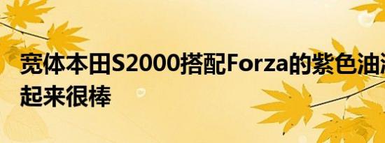 宽体本田S2000搭配Forza的紫色油漆主题看起来很棒