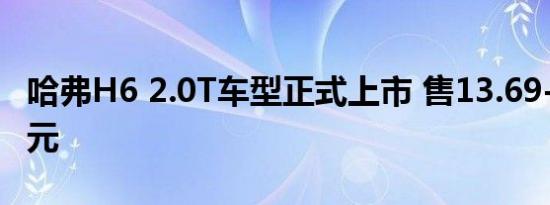 哈弗H6 2.0T车型正式上市 售13.69-15.49万元