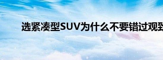 选紧凑型SUV为什么不要错过观致7