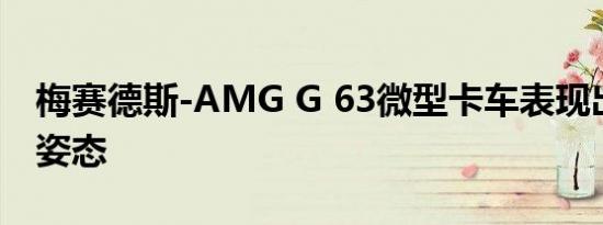 梅赛德斯-AMG G 63微型卡车表现出疯狂的姿态