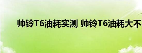 帅铃T6油耗实测 帅铃T6油耗大不大 