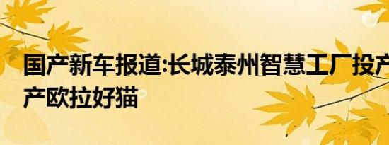 国产新车报道:长城泰州智慧工厂投产 先期生产欧拉好猫