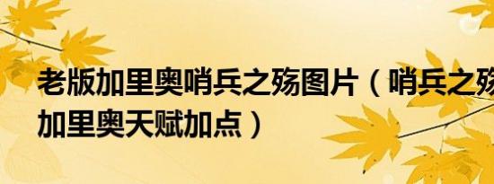 老版加里奥哨兵之殇图片（哨兵之殇出装s6加里奥天赋加点）