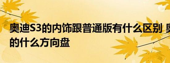 奥迪S3的内饰跟普通版有什么区别 奥迪S3用的什么方向盘 