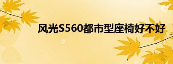 风光S560都市型座椅好不好 