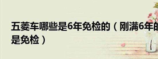 五菱车哪些是6年免检的（刚满6年的车是不是免检）