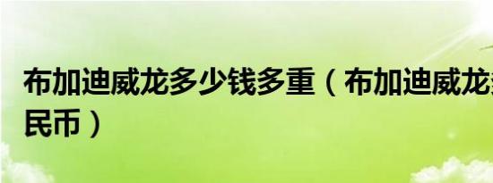 布加迪威龙多少钱多重（布加迪威龙多少钱人民币）