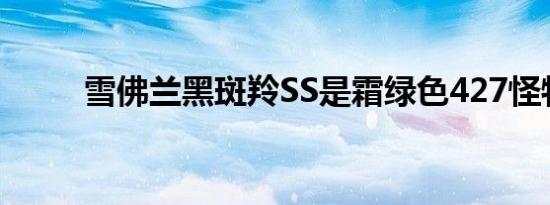 雪佛兰黑斑羚SS是霜绿色427怪物