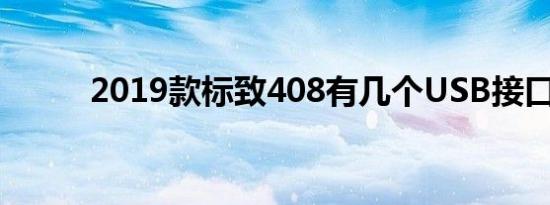 2019款标致408有几个USB接口 