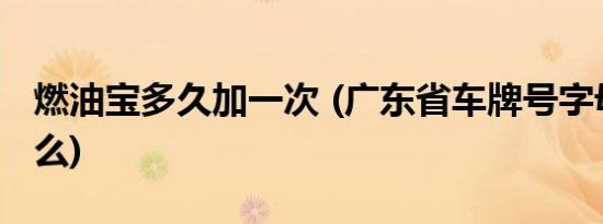 燃油宝多久加一次 (广东省车牌号字母代表什么)