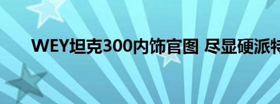 WEY坦克300内饰官图 尽显硬派特质