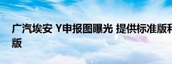 广汽埃安 Y申报图曝光 提供标准版和网约车版