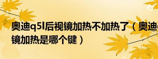 奥迪q5l后视镜加热不加热了（奥迪q5l后视镜加热是哪个键）