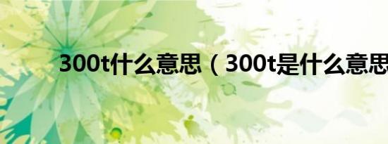 300t什么意思（300t是什么意思）