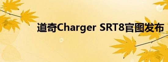 道奇Charger SRT8官图发布