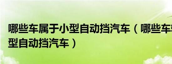 哪些车属于小型自动挡汽车（哪些车辆属于小型自动挡汽车）