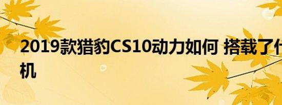 2019款猎豹CS10动力如何 搭载了什么发动机 